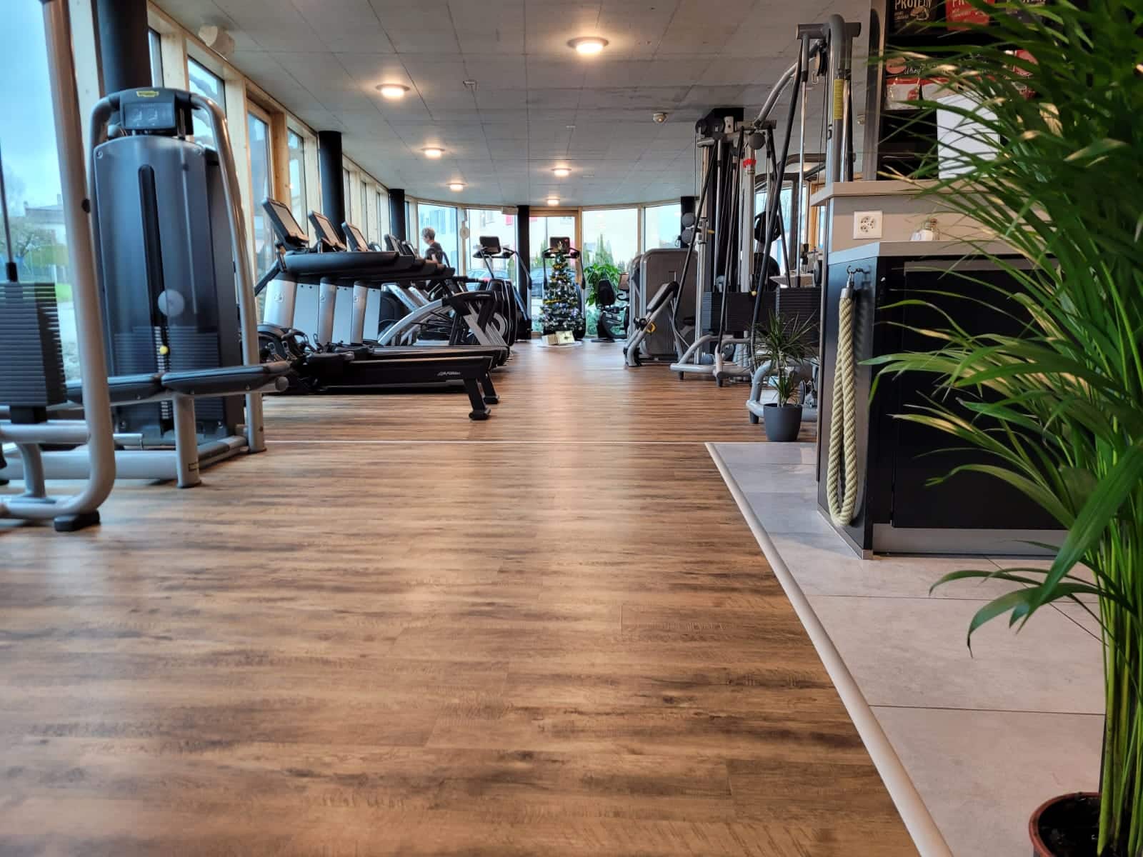 Image actualité aristote